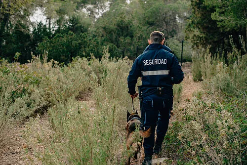 seguridad con perro